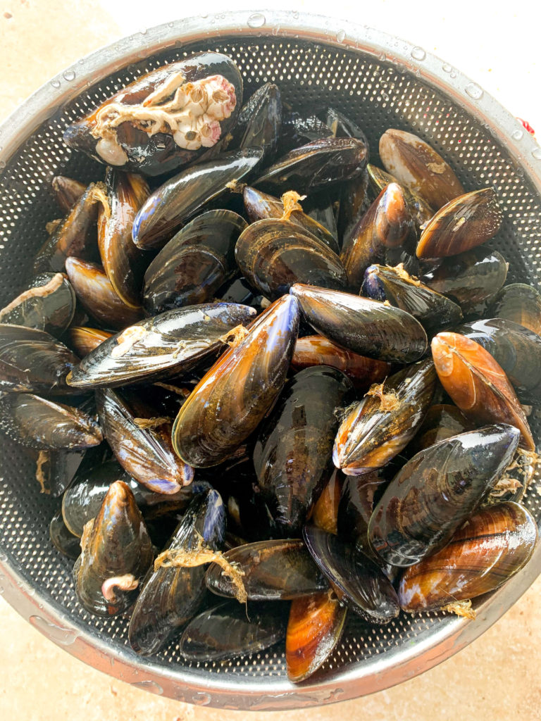 uncleaned mussels