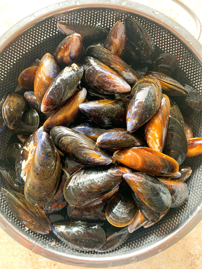 cleaned mussels
