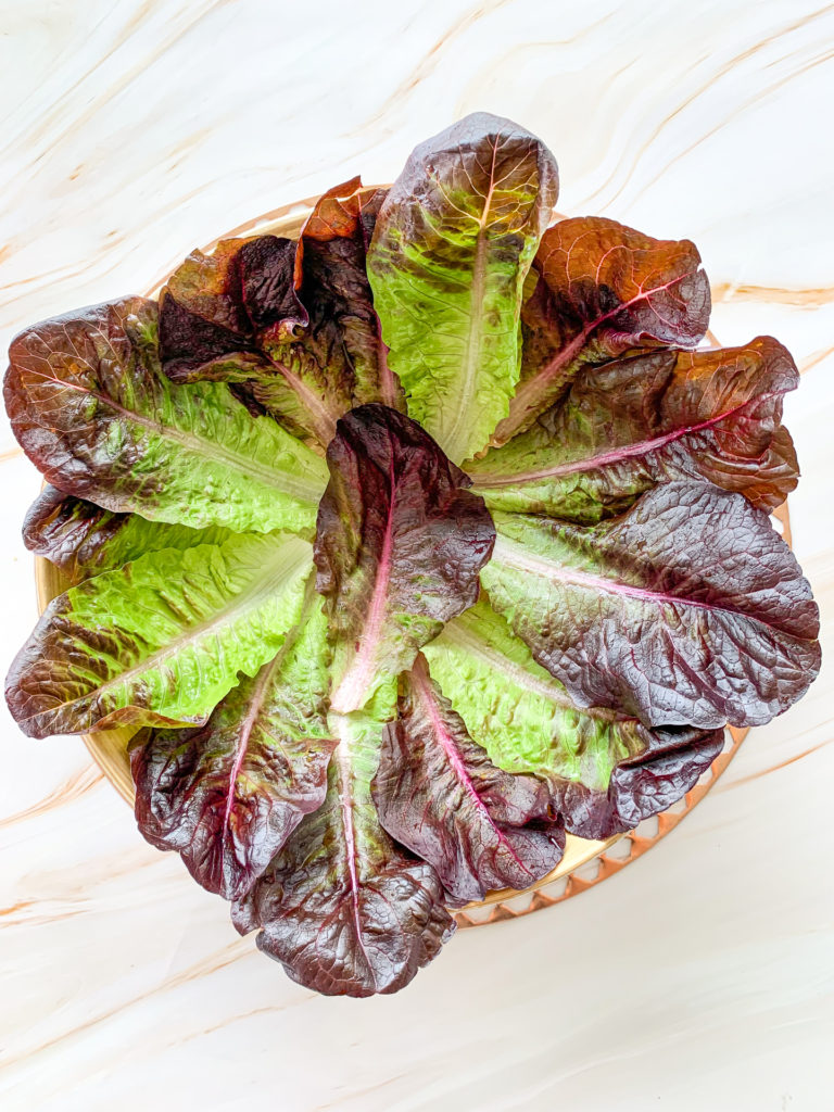 salad in bowl