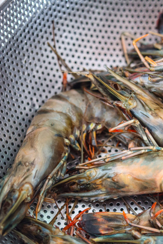 raw king prawns