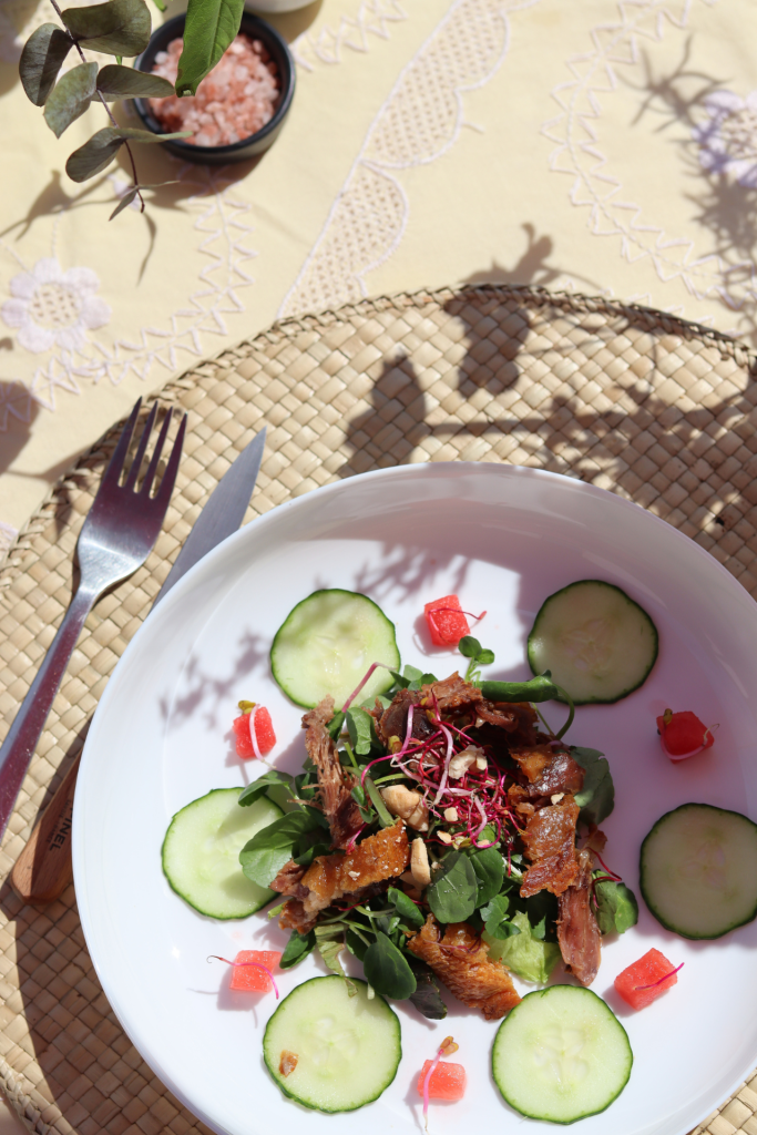 duck confit watermelon and cucumber salad 