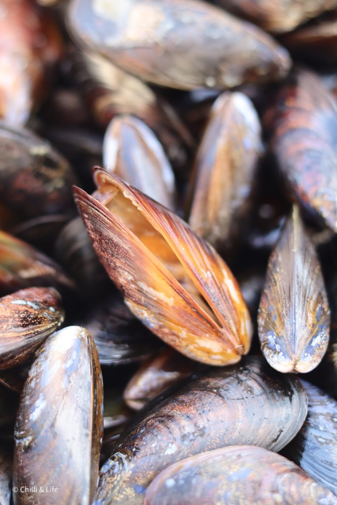 live mussels