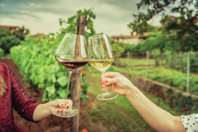 wine tasting at a vineyard