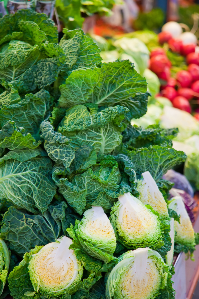 cabbage in the market